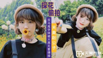 美丽的王子是对两个姐妹的巨大操纵。